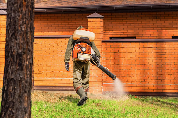 Trusted Mosquito Control service in Shirley, NY - Nex Pest Control